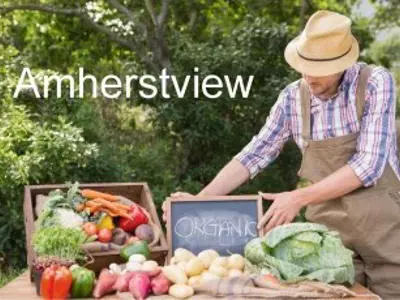 Vegetables on market stall