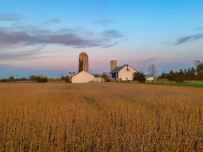 Priority Sectors & Goals