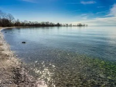 pebble beach with trees in background